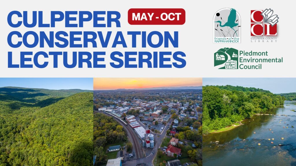 Free Conservation Lecture Series at the Culpeper County Library