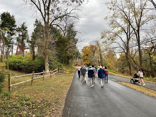 group of people walk along wide, paved road with trees on either side