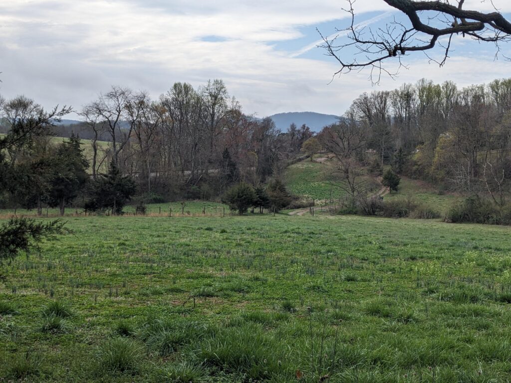 green farmland with mountain in background