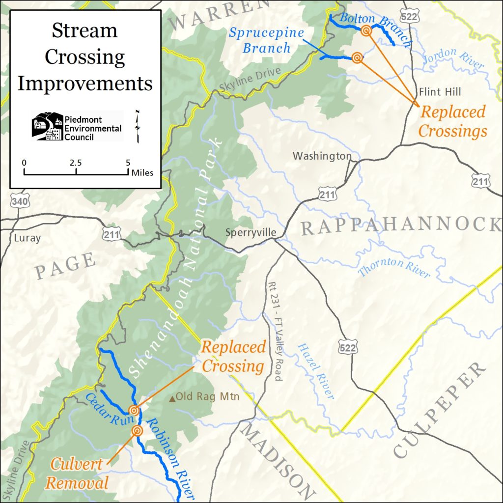 Return of brook trout signals promise for trout stream restoration ...