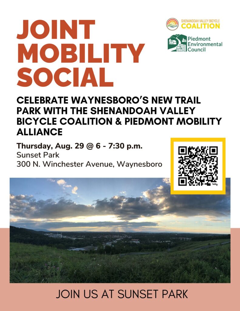 Flyer for the Joint Mobility Social