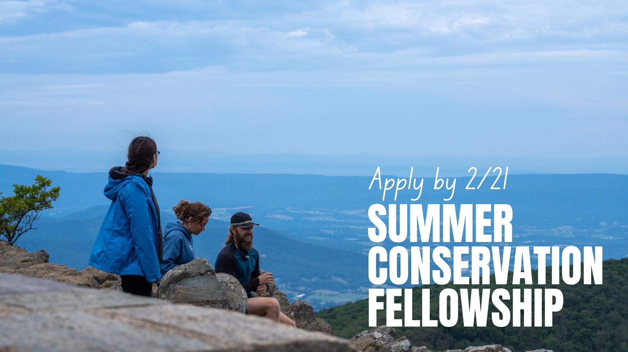 Apply To Our 2024 Summer Fellowship Program - The Piedmont ...