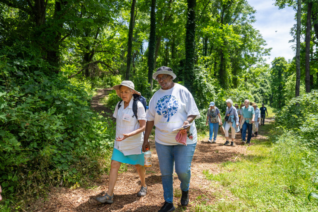 people walk on trail with green trees and blue skies in background