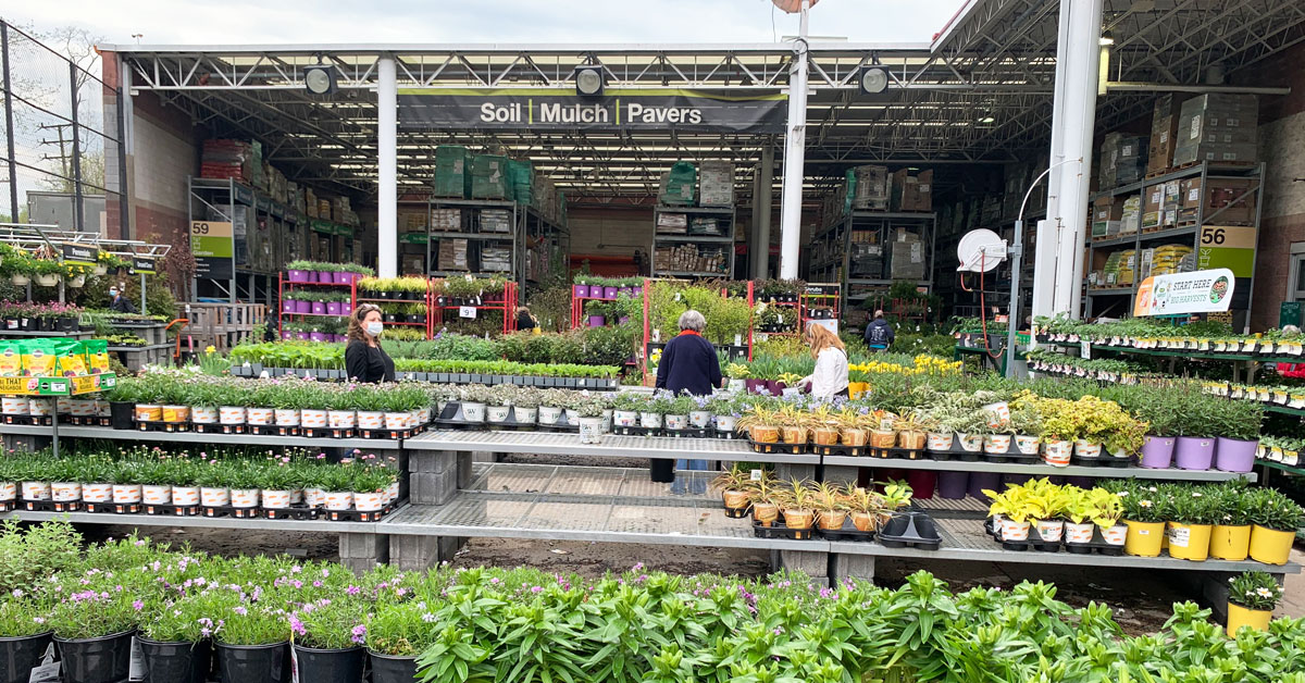 people shopping at a garden center