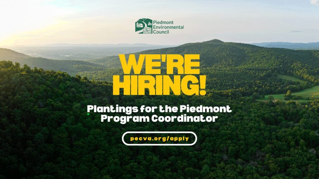 Plantings for the Piedmont Program Coordinator