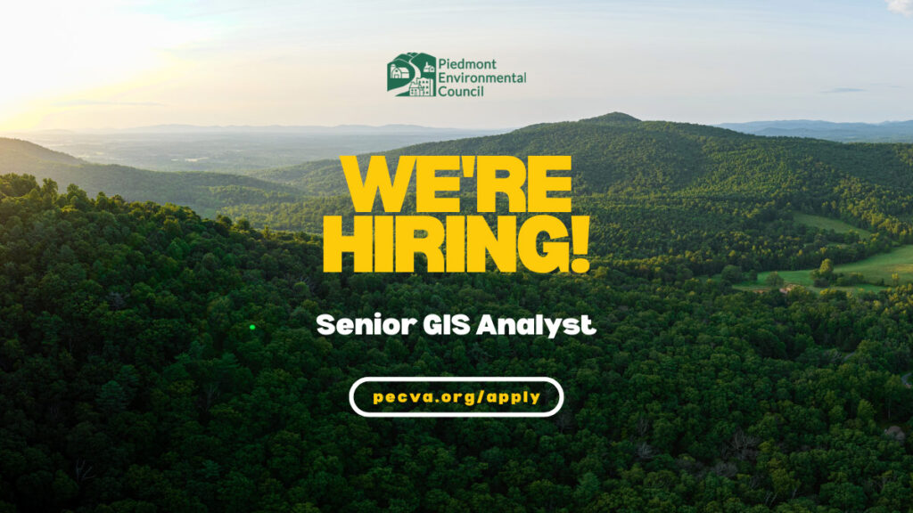 Senior GIS Analyst