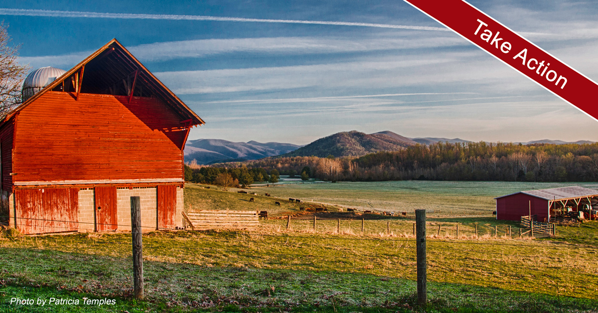 red barn farmland photo by patricia temples