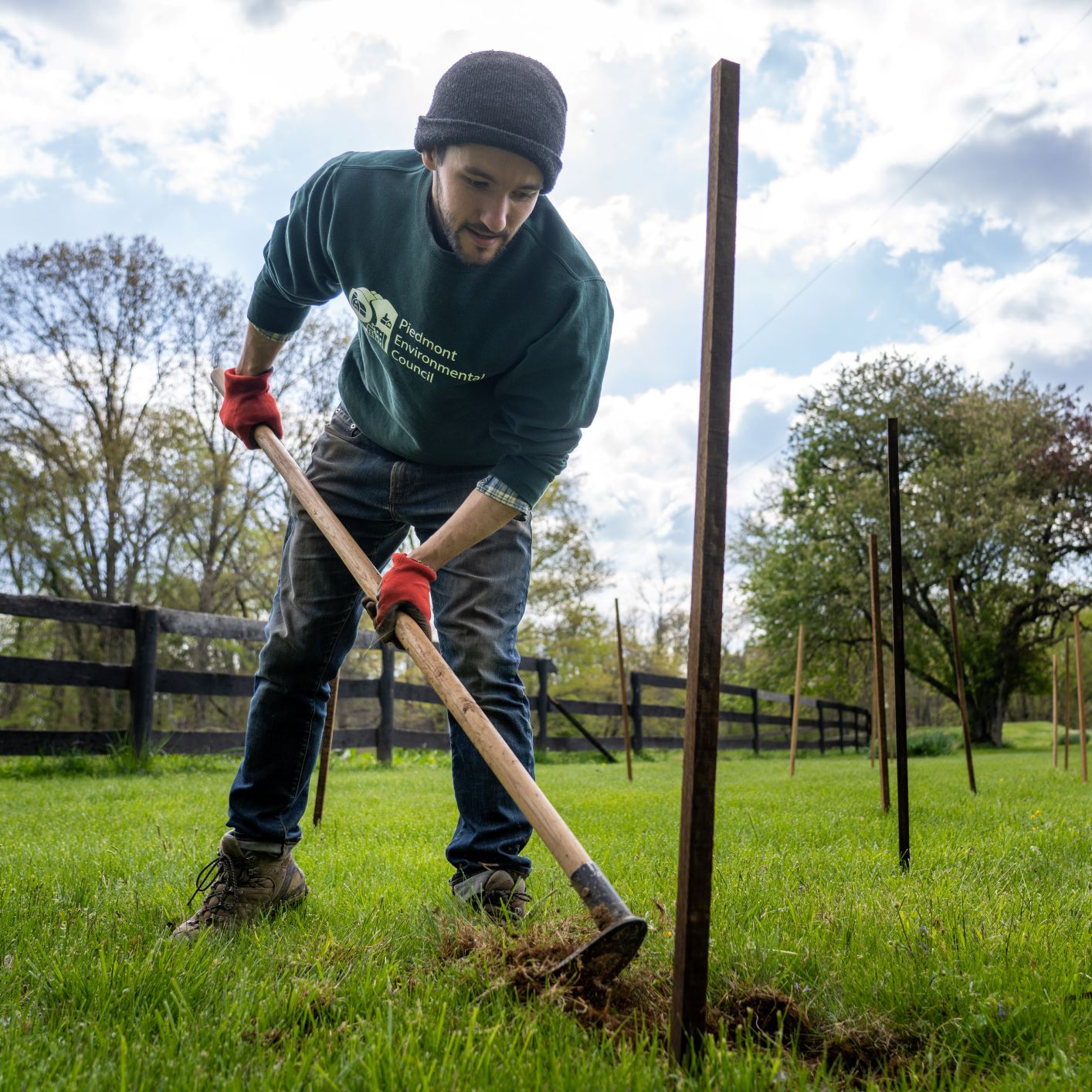 Volunteer plants trees in Fauquier County