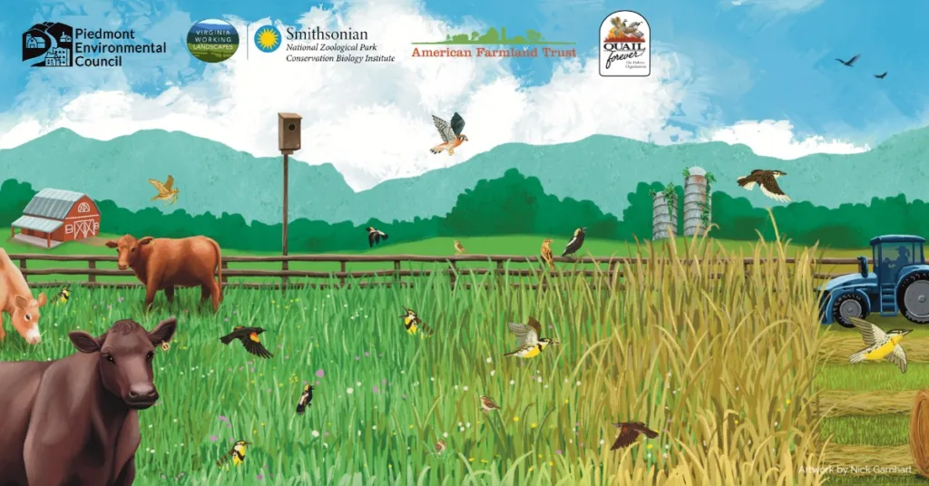 artwork graphic with hayfield, cows, a tractor and birds with mountains in the background